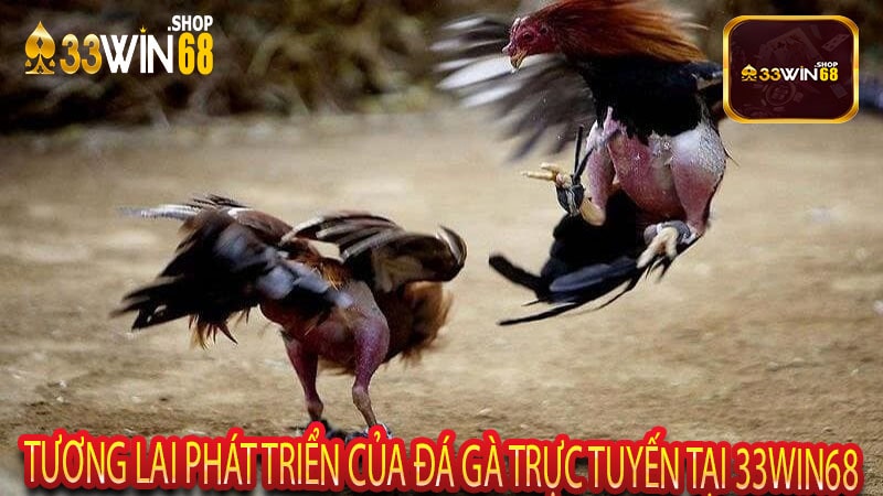 Tương Lai Phát Triển Của Đá Gà Trực Tuyến Tại 33win68